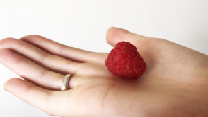 Raspberry sitting on the palm of someone's hand.