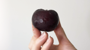 A hand holding a plum