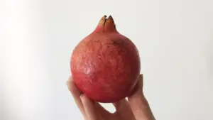 A hand holding a pomegranate
