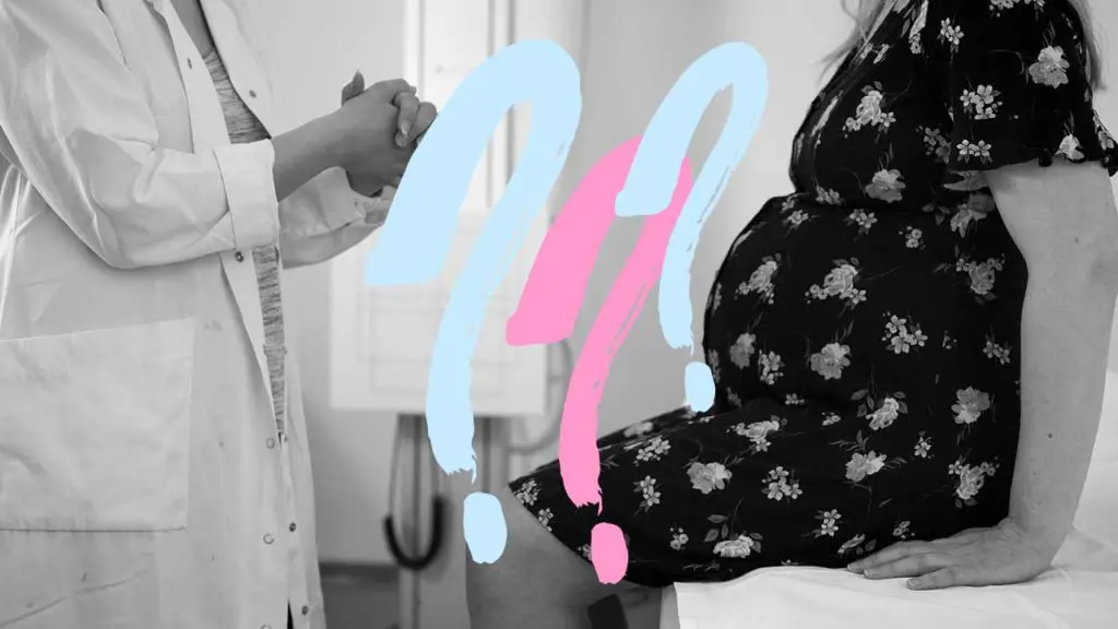 questions-to-ask-ob-gyn